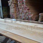 gallery_07