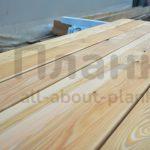 gallery_10