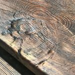 gallery_05