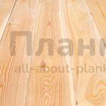 gallery_13