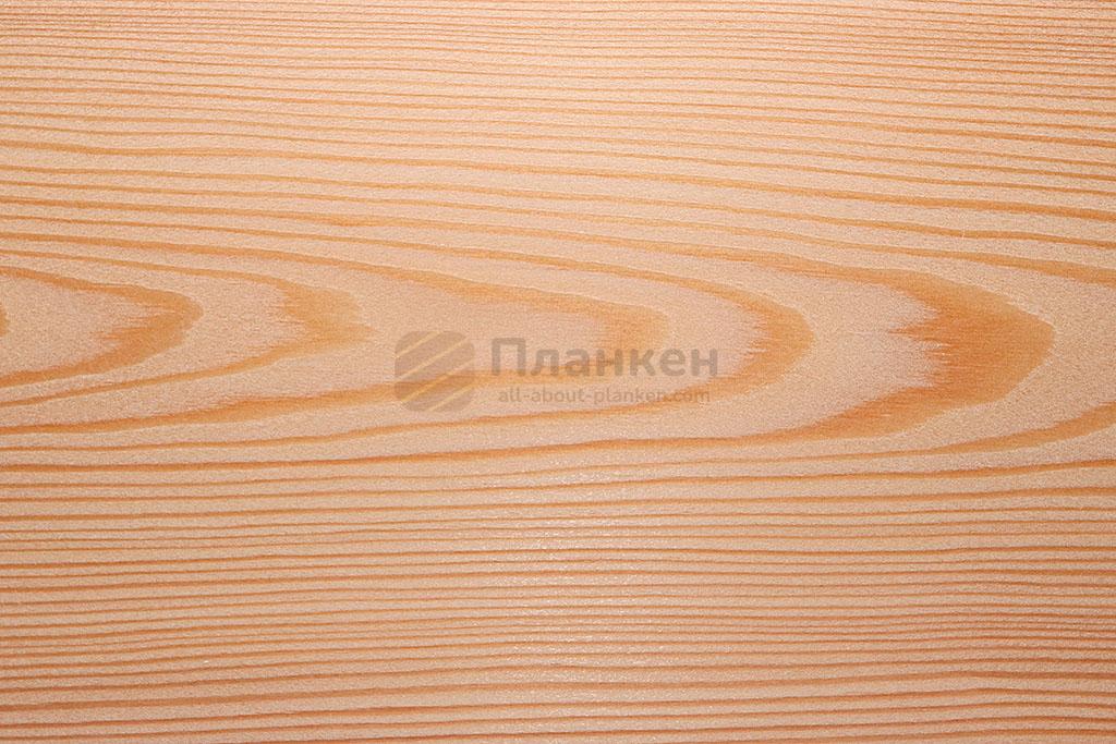 gallery_03-240