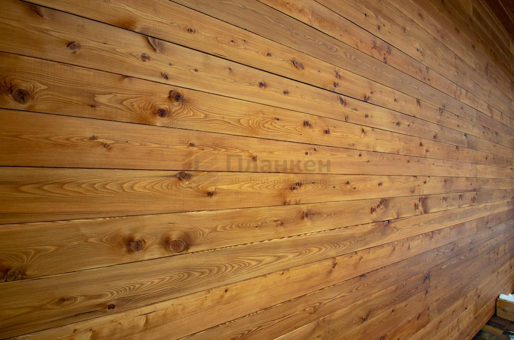 gallery_15-65