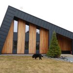 gallery_18-62